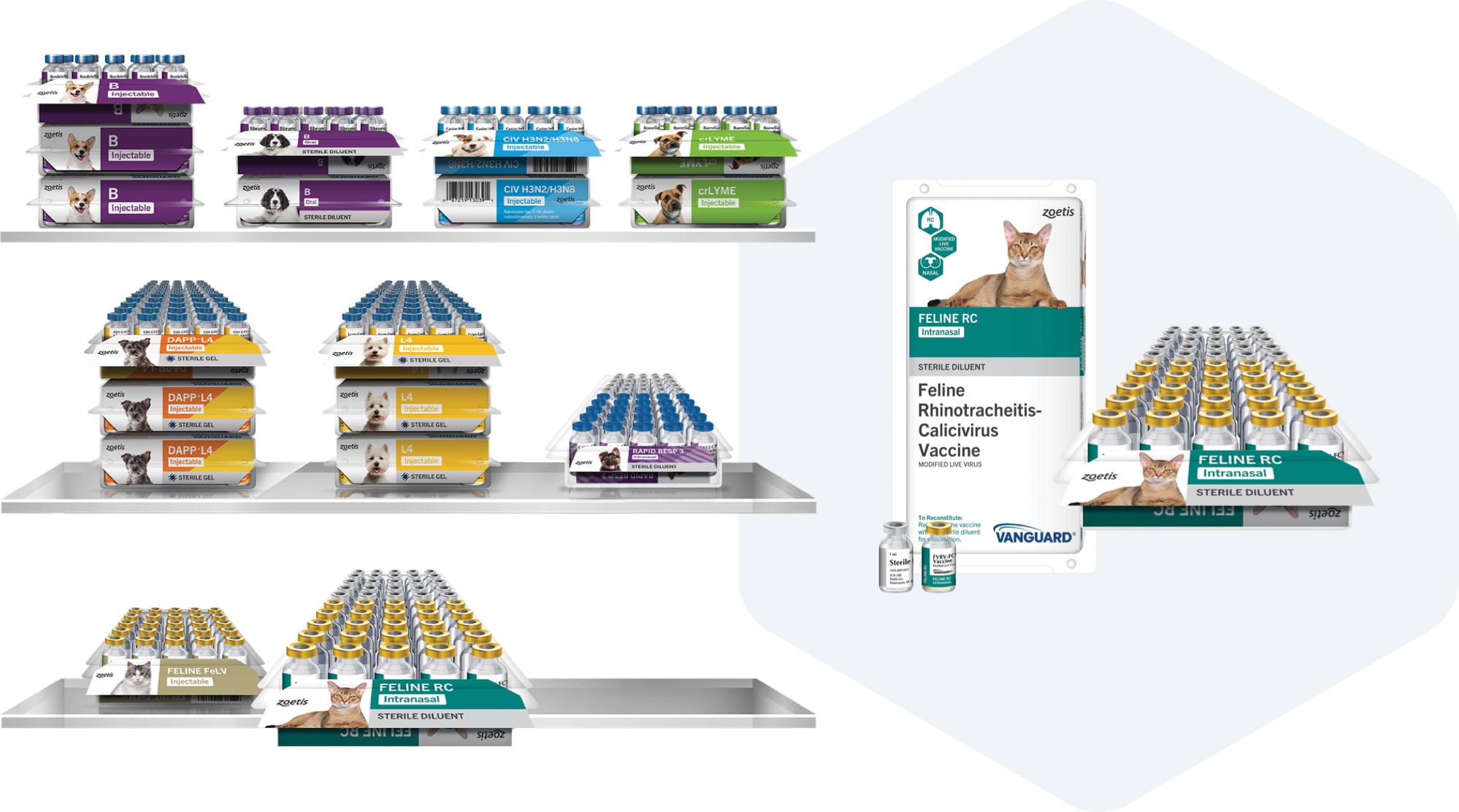 Packaging Graphic