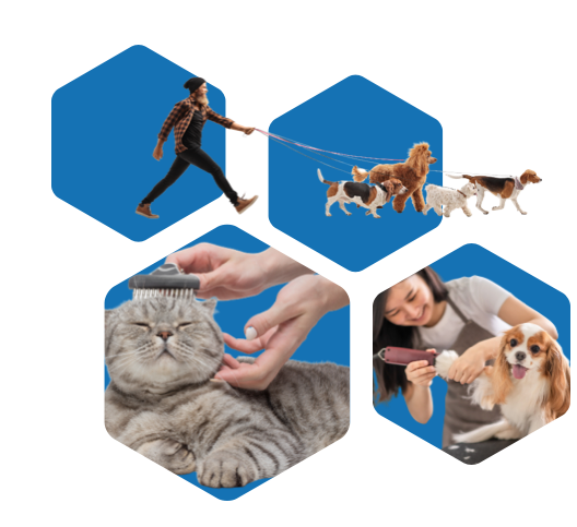 Pet Professionals