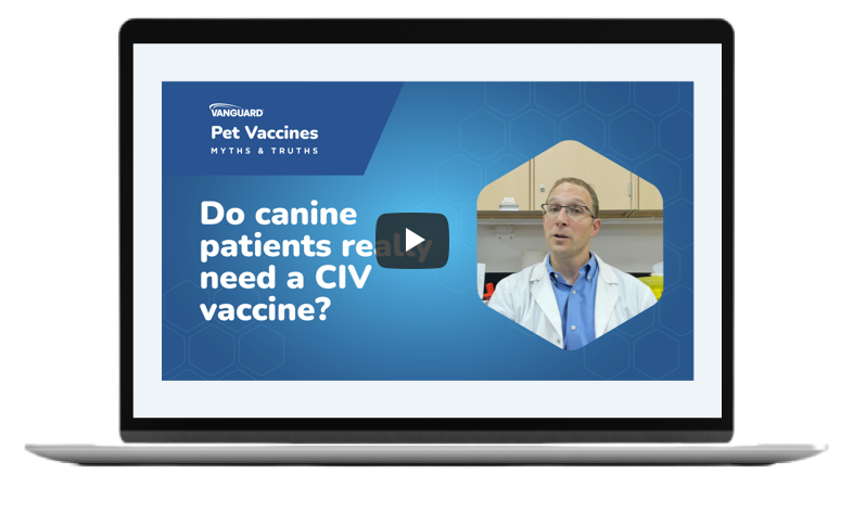 Do-Canine-Patients