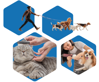 Pet Professionals