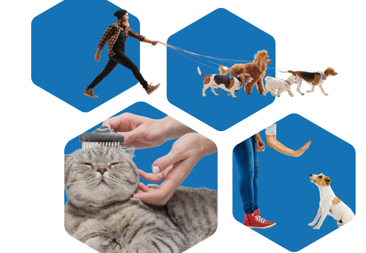 Pet Professionals